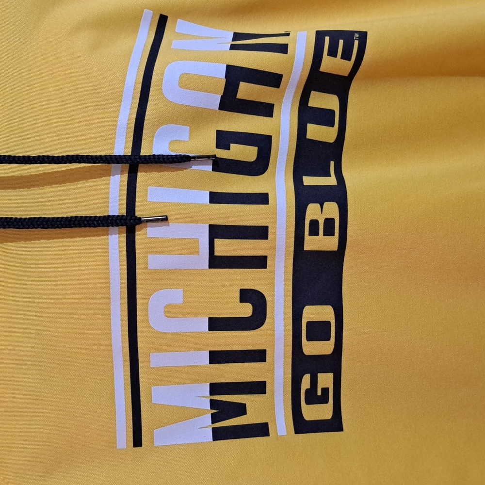 Colosseum UNIVERSITY OF MICHIGAN hoodie NWOT - Picture 2 of 6